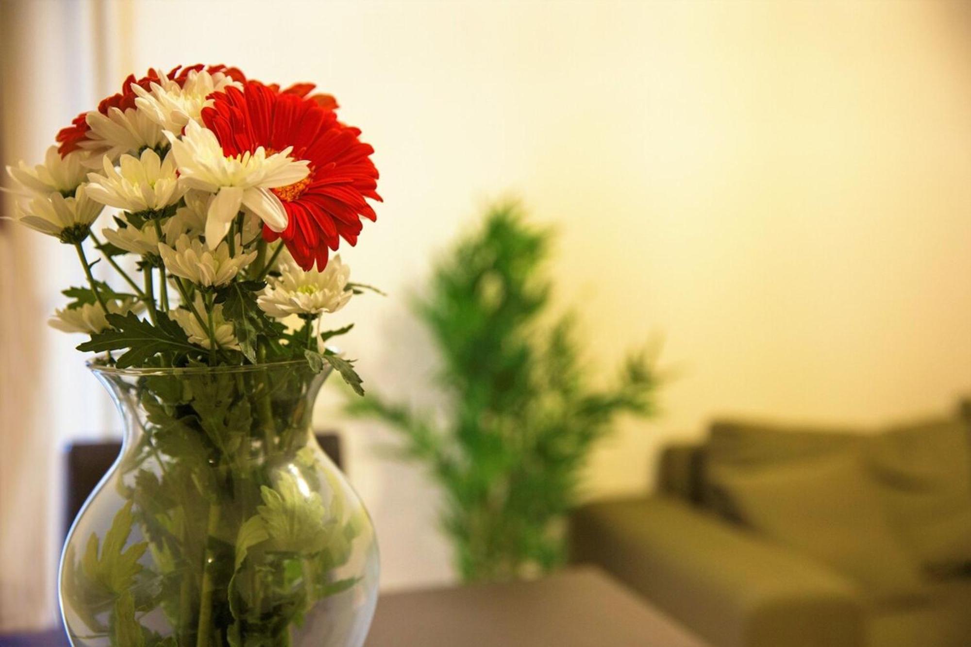 Peaceful Renovated Apartment Near Lycabettus Hill Atene Esterno foto